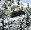 Winterized