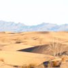Scenic Backdrops
