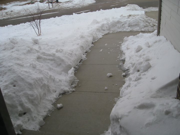 snow2.jpg