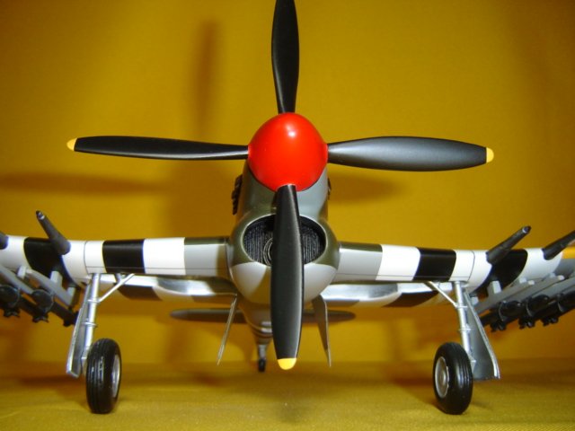 wb2.jpg
