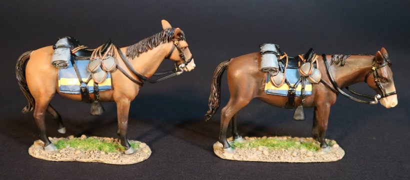 Army Mules, Battle of the Rosebud