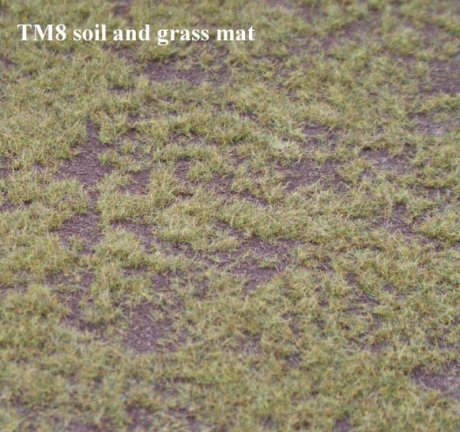 Soil and Short Grass Mat