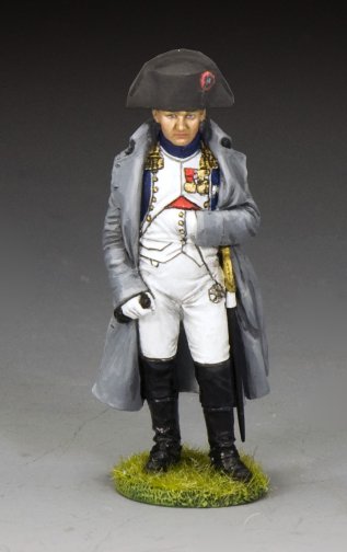 Napoleon as Colonel of The Imperial Guard