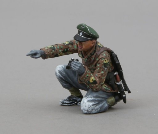 Winter German SS Officer Pointing