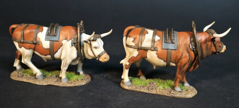 Oxen