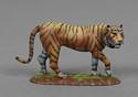 Tiger on Grass Base