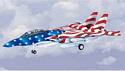 Grumman F-14 TOMCAT Star's N Stripes U.S. NAVY
