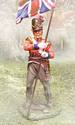 Foot Guard King's Colors