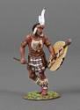 Zulu Warrior Stopped in his Tracks