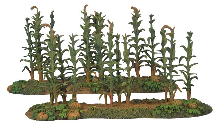 17614 18th-20th Century Corn Rows