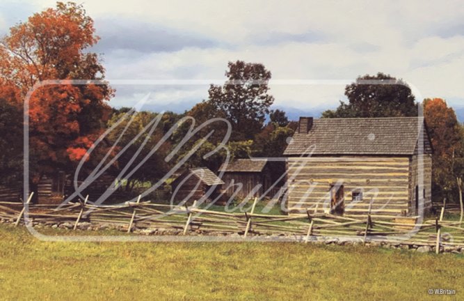 Bucolic Farm and Field - Mini Backdrop