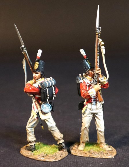 1/3rd Regiment of Foot (East Kent, “The Buffs”) - Gloss
