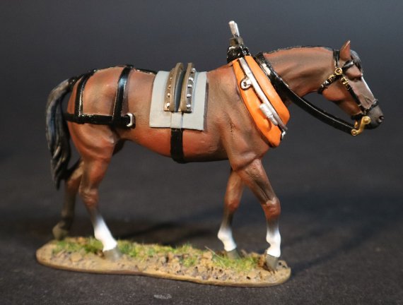 Horse for Carts or Wagons