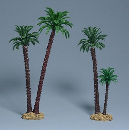 Coconut Palms