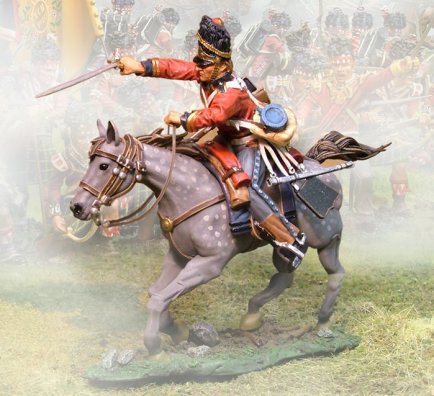 Scots Grey Lunging