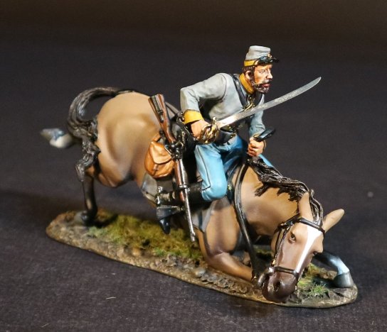 Confederate Cavalryman