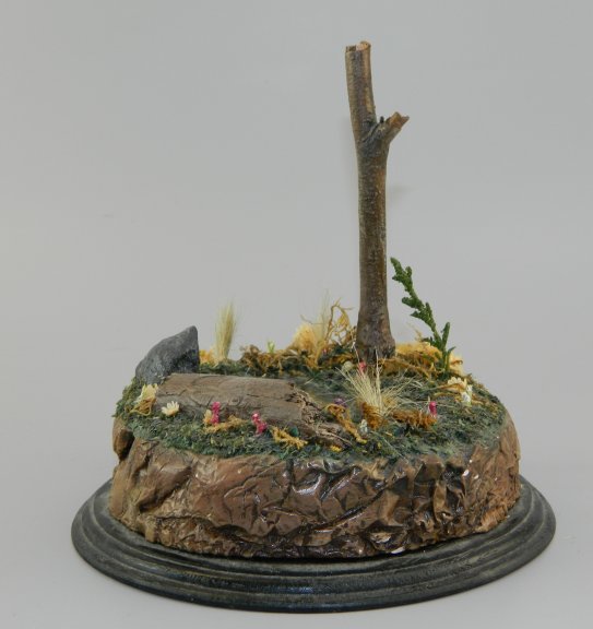 Diorama Base with Tree & Pond