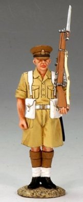 Guardsman Soldier Arms