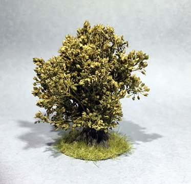 Bush with Grassy Base
