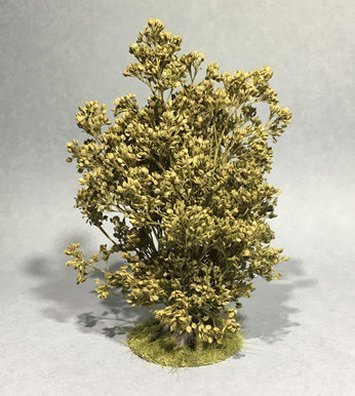 Large Bush with Grassy Base