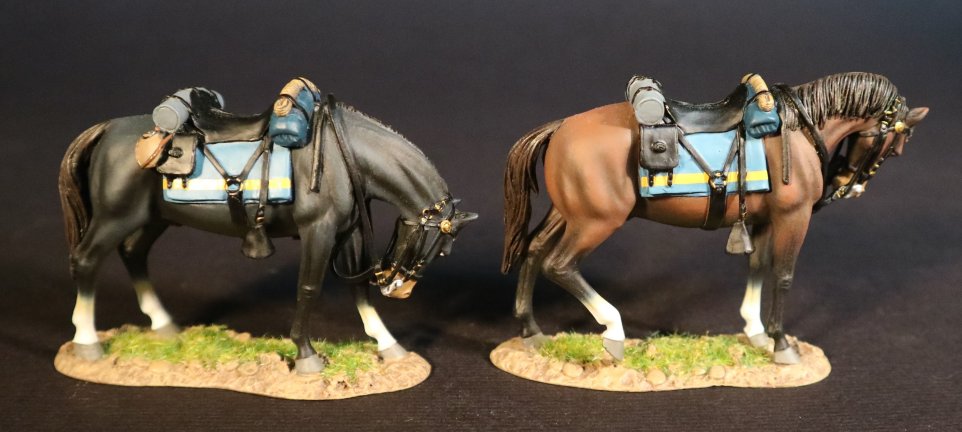 United States Cavalry Horses