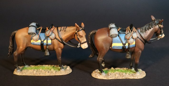Army Mules, Battle of the Rosebud