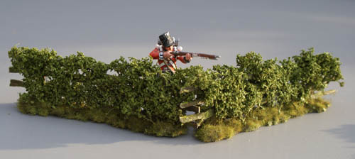 Field Hedge Section