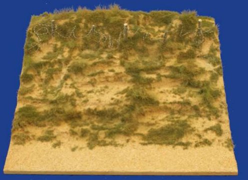 D-Day Beach Section with Long Dune