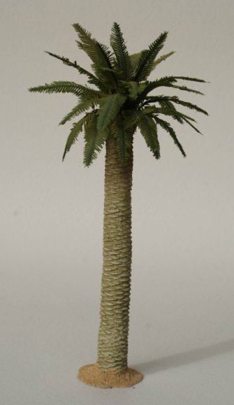 Large Date Palm