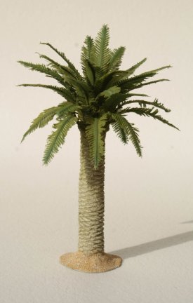 Small Date Palm