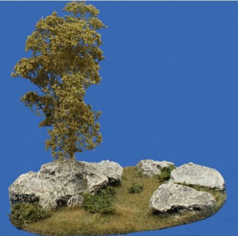 Group of Rocks with Birch Tree and Bushes