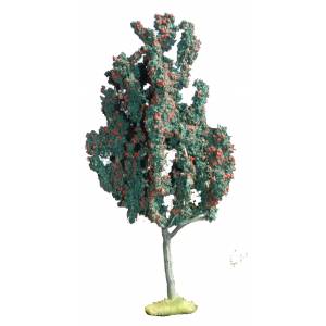 Mountain Ash with berries