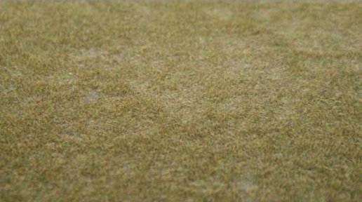 9" x 12" Medium Green Grass Base