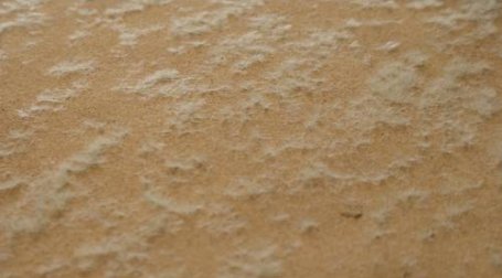 9" x 12" Dry Grass Base