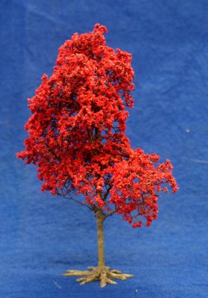 Maple Tree - Red