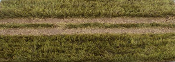 Grass Mat with Dirt Tracks