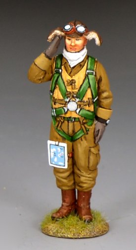 Saluting Kamikaze Pilot