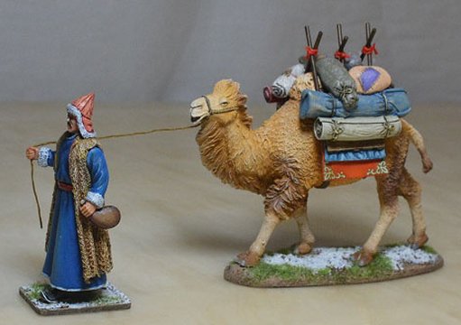 Leading the Camel