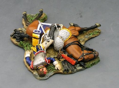 Dead Cuirassier