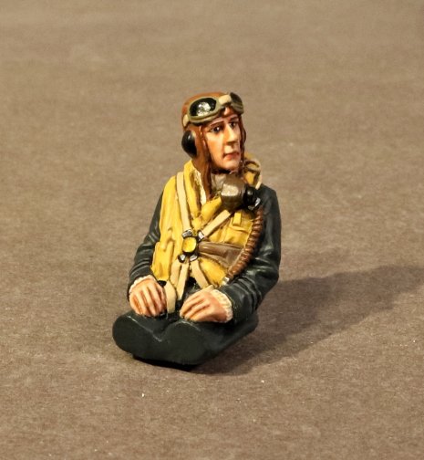 Spitfire Pilot, Royal Air Force