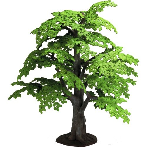 Beech Tree - 14"