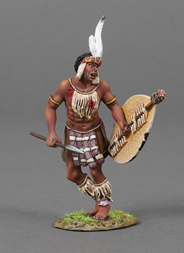 Zulu Warrior Stopped in his Tracks