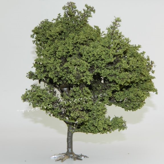 Small Oak