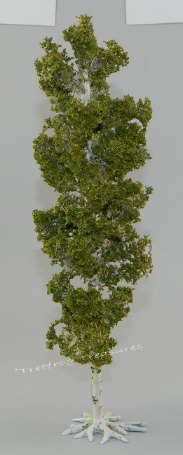 Medium Birch Tree