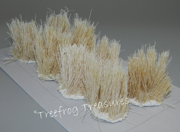 Winter Grass