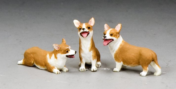 A Trio of Royal Corgis