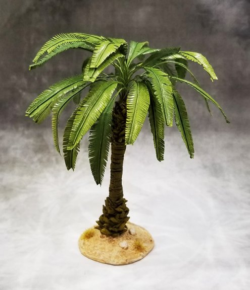 Small Desert Palm