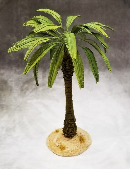 Medium Desert Palm