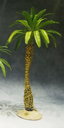 Large Desert Palm
