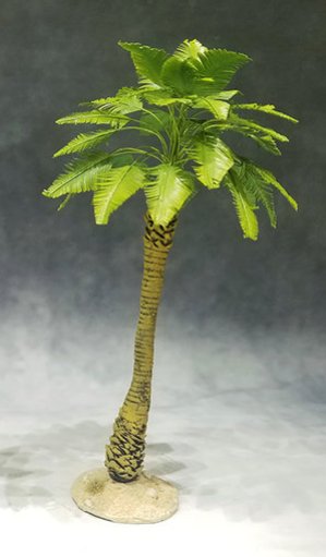 Large Desert Broadleaf Palm